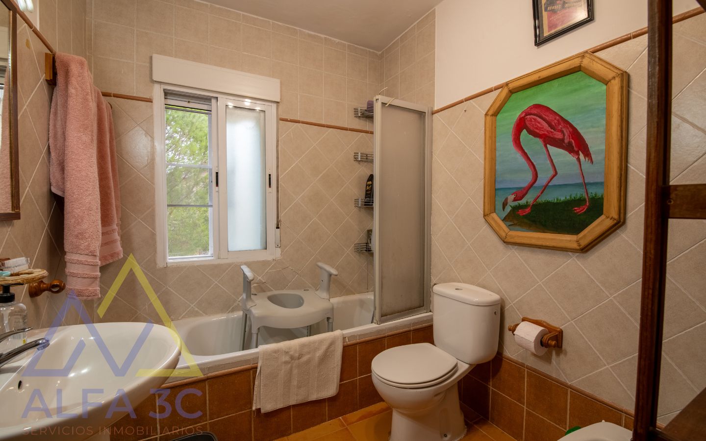 Calle Almería en Pedrezuela4